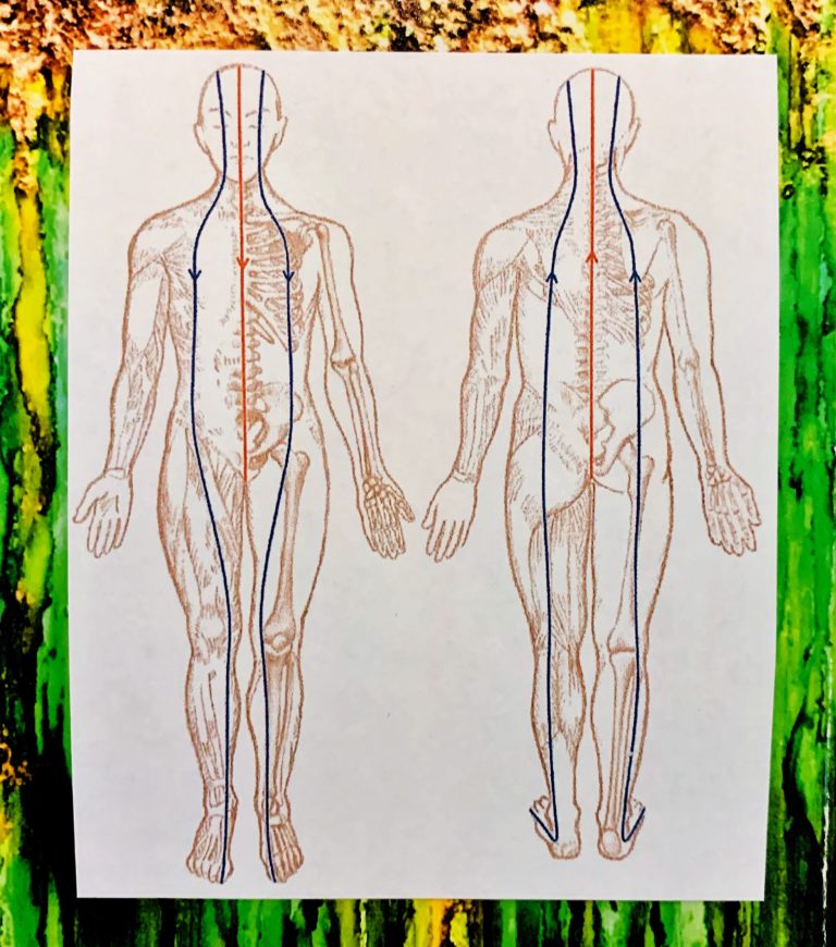 Jin Shin Jyutsu Praxis Seelentauchen